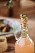 Wildlife_Garden_WG4992_BottleStop_Frog-7