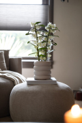 ORCHIDS-INFO-KERSTSHOOT-24-79
