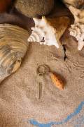 WG4723_Keyring-ConusShell_LS-1