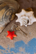 WG4725_Keyring-Starfish_LS-3