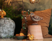 WILDLIFE GARDEN XMAS NEWS 2025