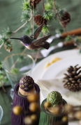 WG4672_DecoBird_BlackcHB_xmas