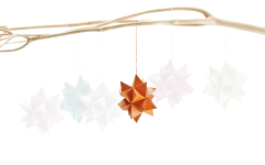 226031_CRAFT_Anhaenger_apricot