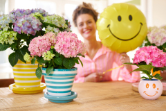 hydrangea worldkamerhortensiashoot Elize EveleensVitamine HortensiaCampagne Modelsmiley