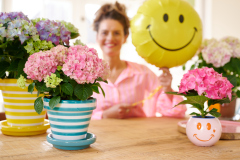 hydrangea worldkamerhortensiashoot Elize EveleensVitamine HortensiaCampagne Modelsmiley