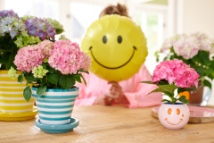 hydrangea worldkamerhortensiashoot Elize EveleensVitamine HortensiaCampagne Modelsmiley