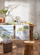 Apelt-6524-10-3967-10-6525-10