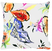 apelt-ibiza-48x48-col-50