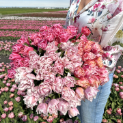 FAM_9077-AA-Pink-Mix-field-high