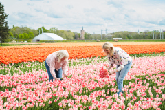 LI8_4688_Lilian_Fotografie_Fotoshoot_Fam_Flower_Farm_Marlies_Linda_2024-04026
